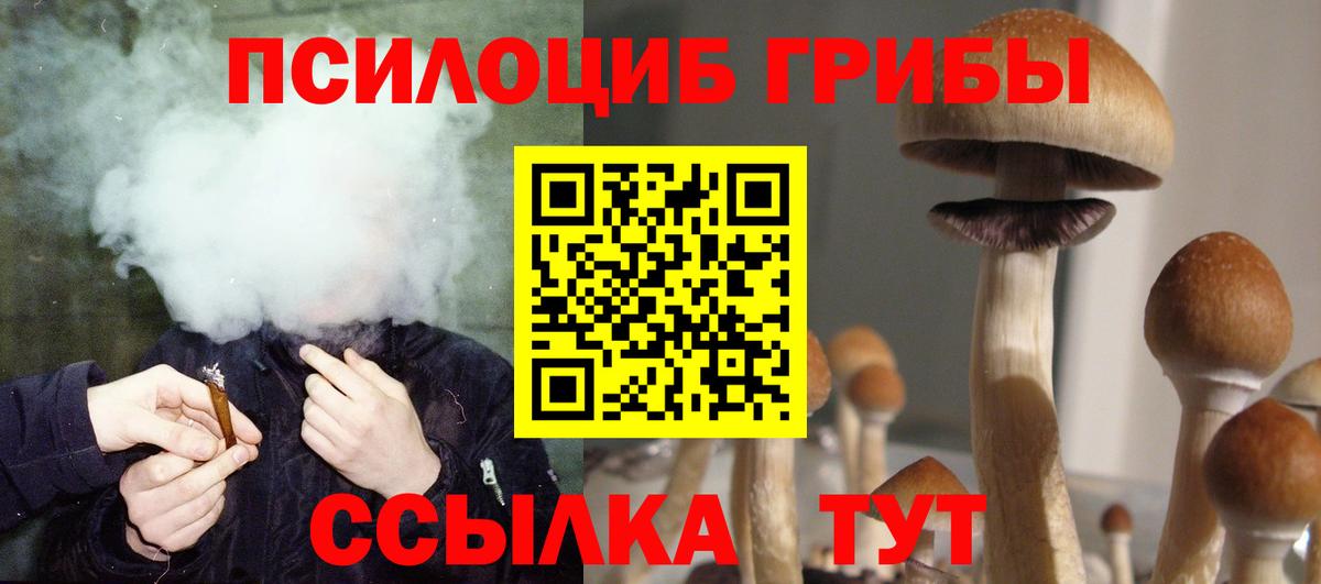 Галлюциногенные грибы прущие грибы  Вход с VPN  наркота  Семилуки 